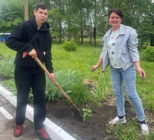 Школьная аллея роз.