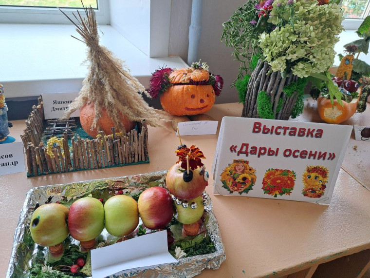 Дары осени.